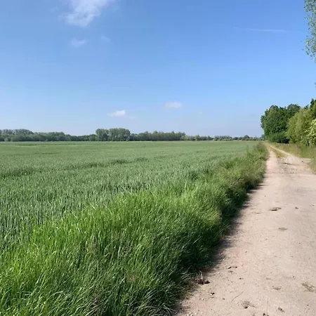 公寓 In Koksijde Near Golf Course, Cleaning Included