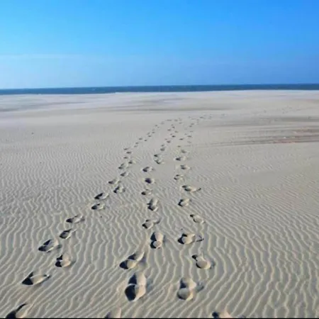 公寓 In Koksijde Near Golf Course, Cleaning Included *