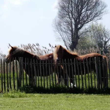 In Koksijde Near Golf Course, Cleaning Included 아파트 *